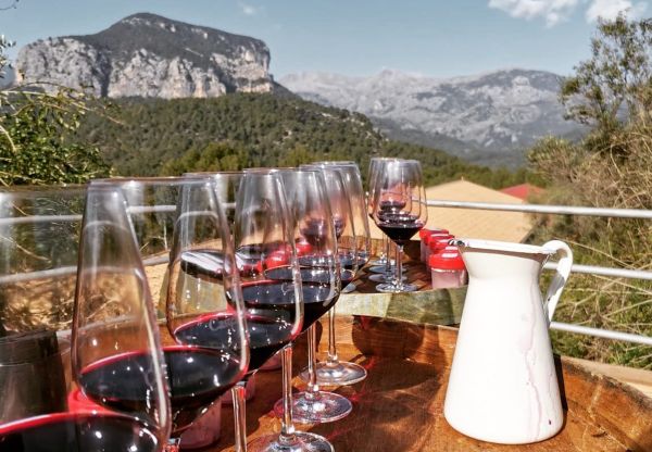 Wine Tasting 15 Best things to do in Mallorca