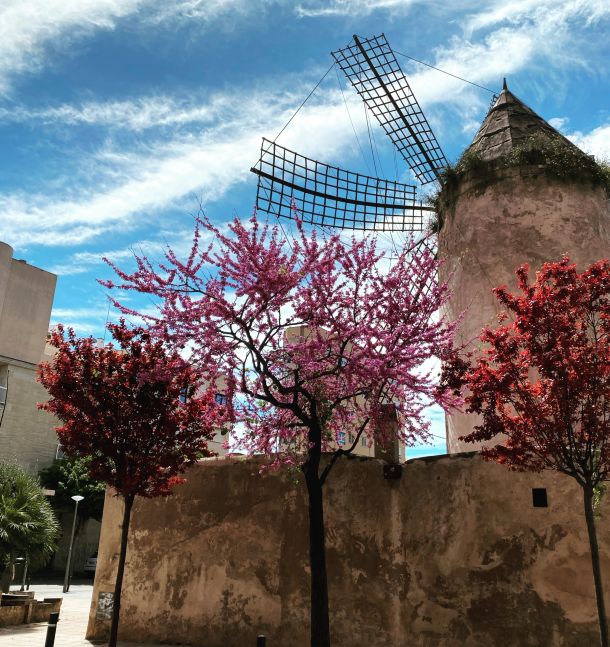 Windmills of Mallorca