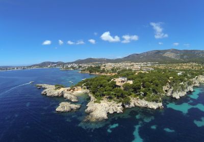 image punta negra scaled