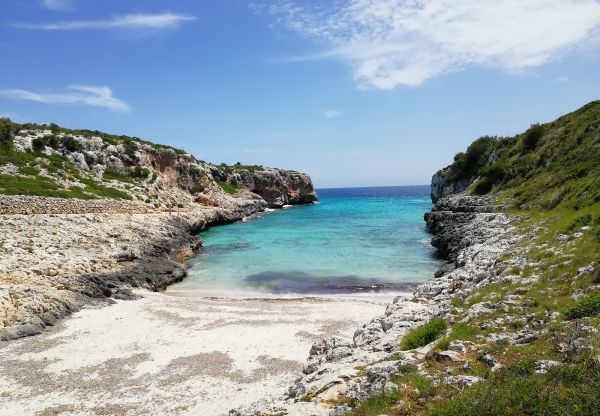 cala sequer