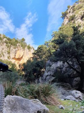wp-content/uploads/2022/01/mountain-bike-escursion-mallorca.jpg