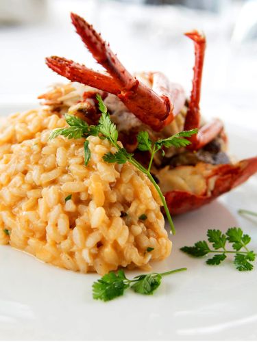 ritzi restaurant puerto portals mallorca lobster