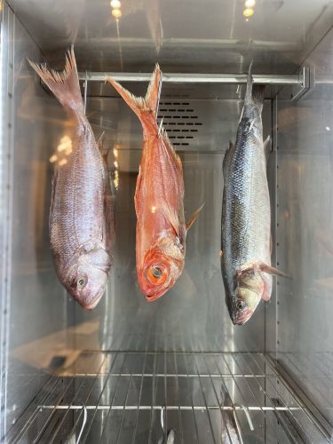 Dry aging fish La Madura Restaurant Palma de Mallorca