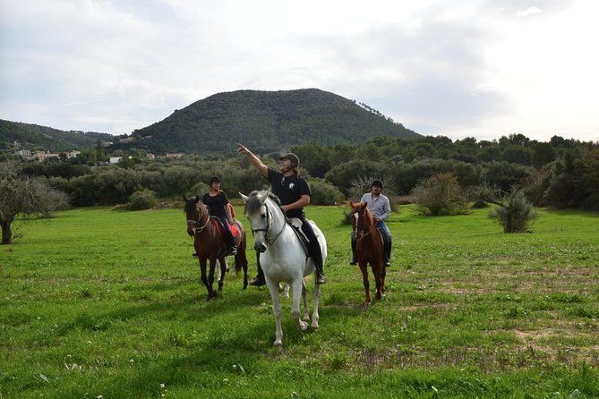 horse riding mallorca