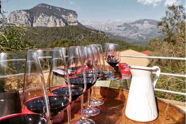 Wine Tasting 15 Best things to do in Mallorca