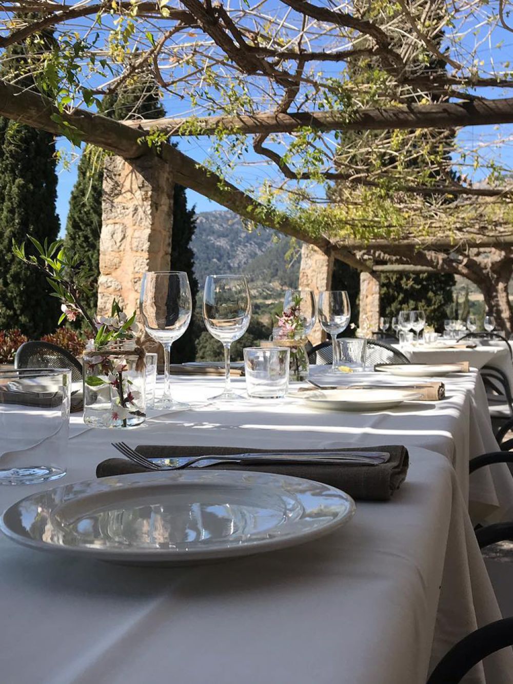 ses coves cafe grill mallorca 1f78e370