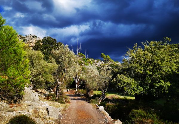 hiking Mallorca with Jorn 4 scaled 63fae94e