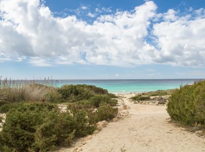 Hotel Dunas de Formentera beach 742c30e5