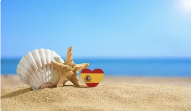 shell on the beach 7cf0452f