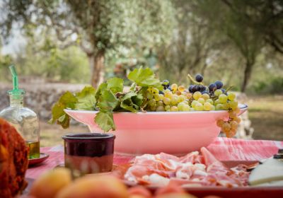 Microceller SonCrespi 24x683 7d33227a