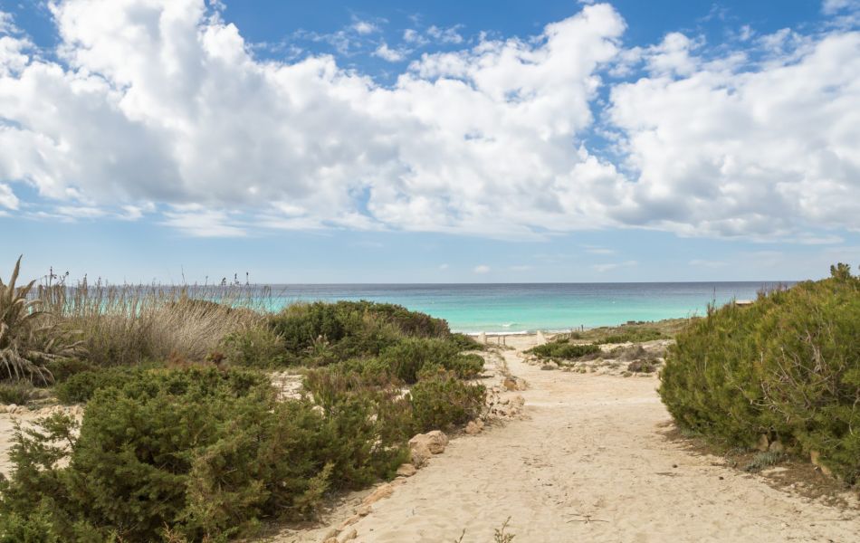 Hotel Dunas de Formentera beach a676abac