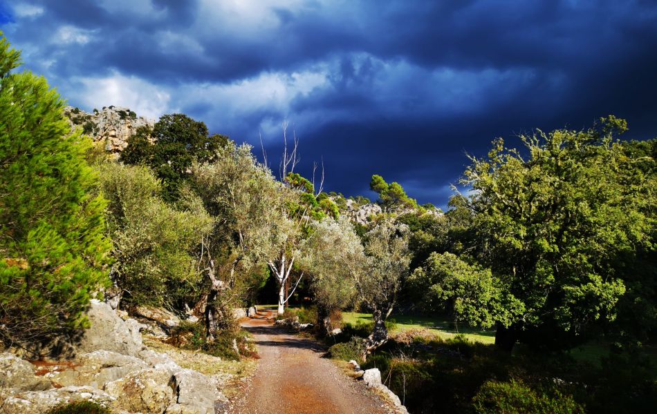 hiking Mallorca with Jorn 4 scaled e776a1e8
