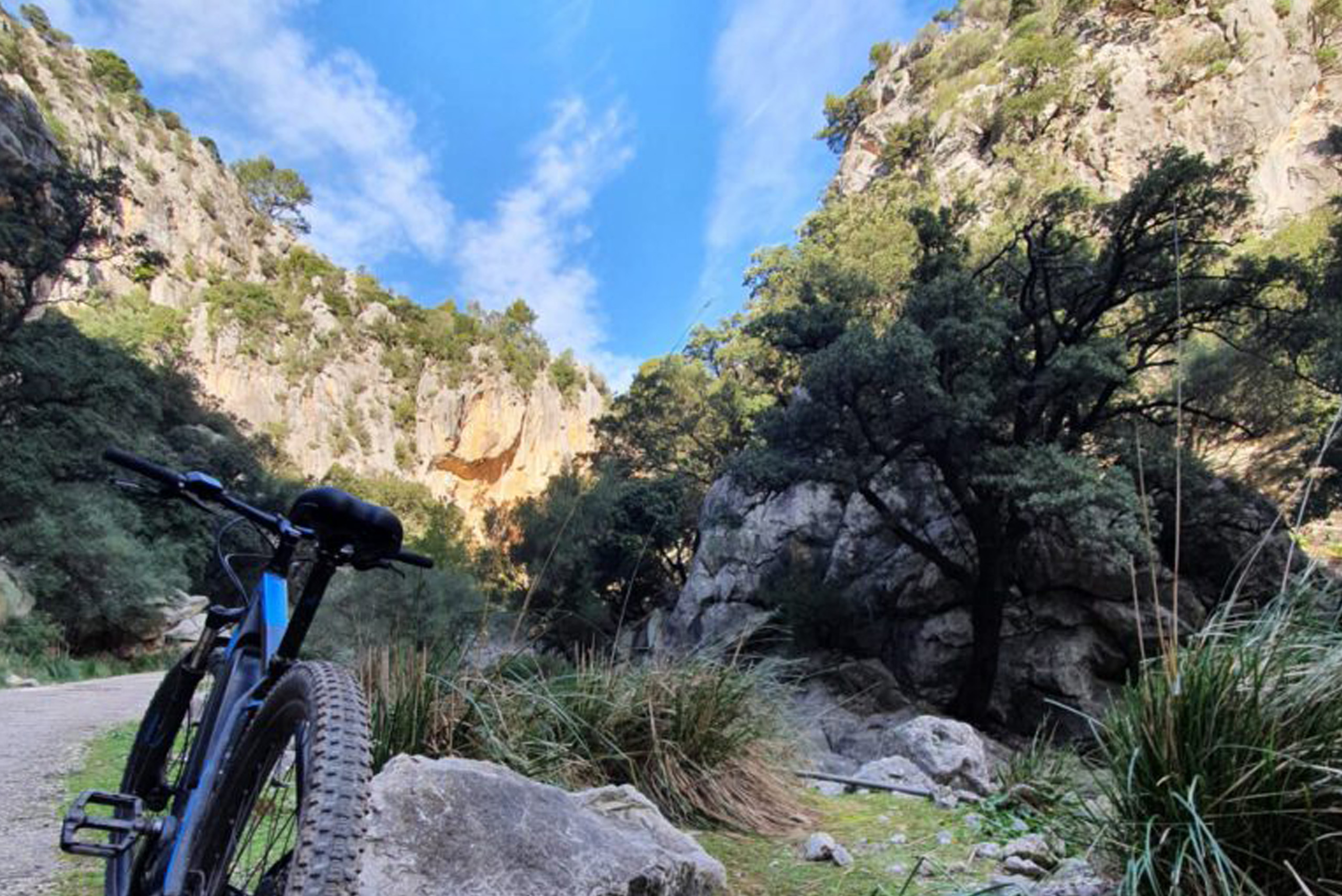 mountain bike escursion mallorca