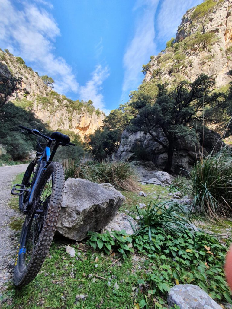 mountain bike tours best of mallorca