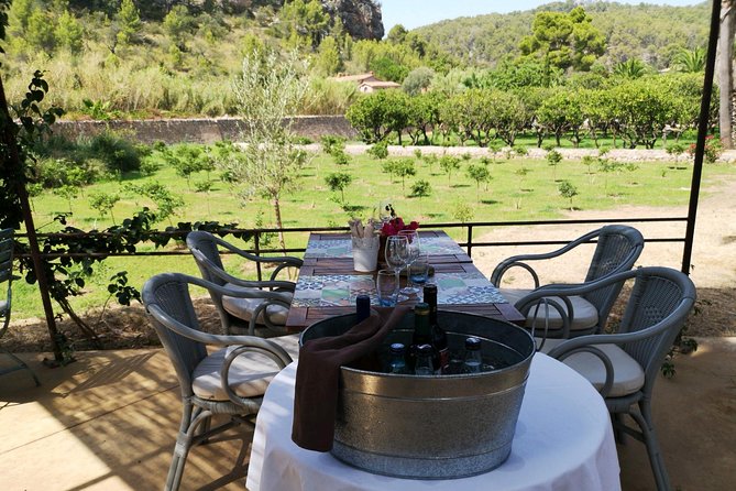 olive oil and wine tasting tour best of mallorca