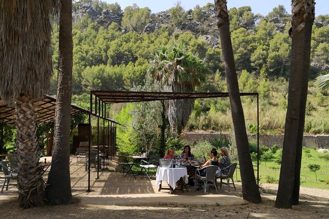 olive oil and wine tour best of mallorca