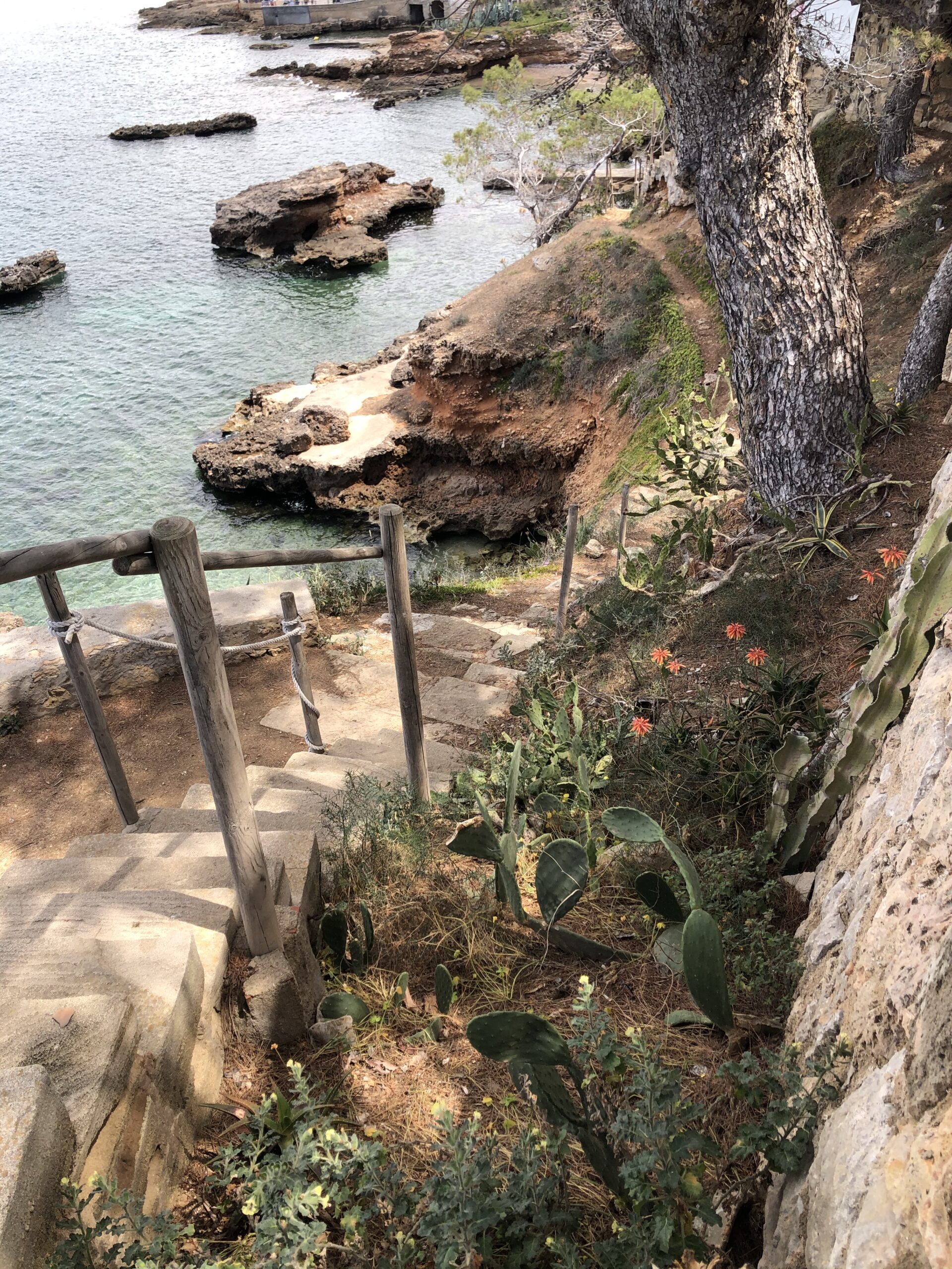 staircase to the sea Port Andratx scaled