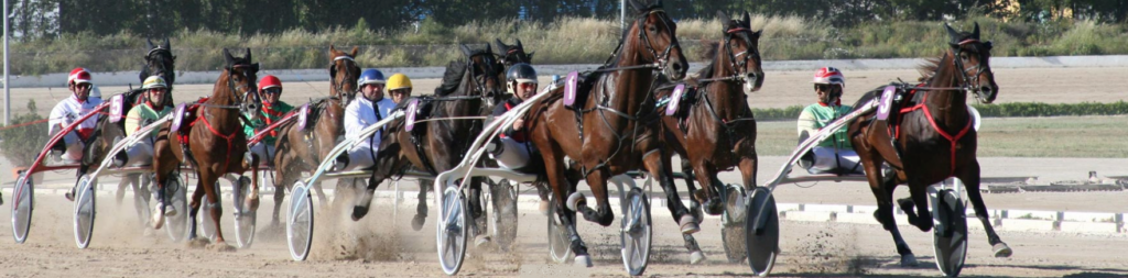 Horse Racing Mallorca

