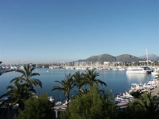 Alcudia
