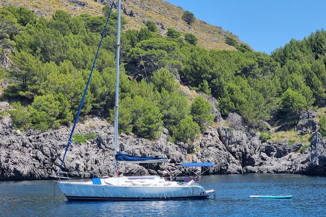 sailing excursion mallorca