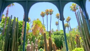 Jardin Majorelle 