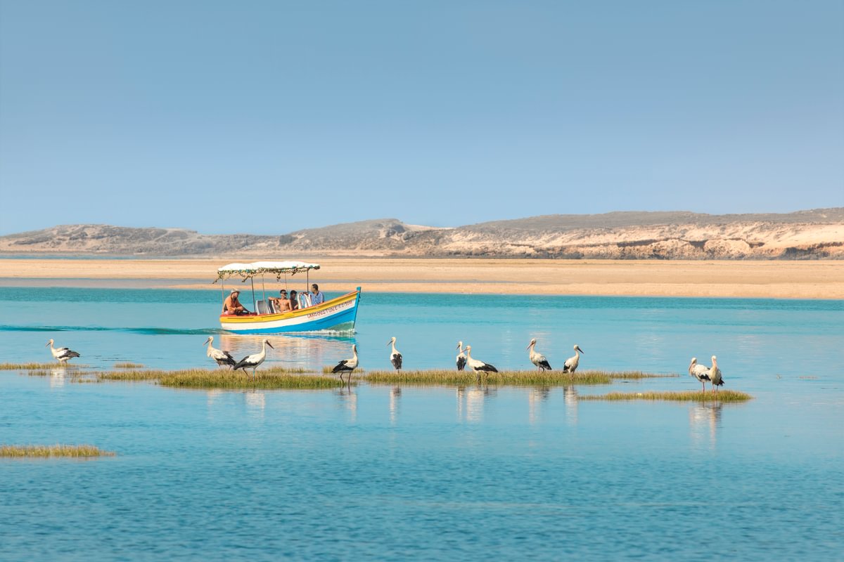 ouali 8 13 04 Medium 1