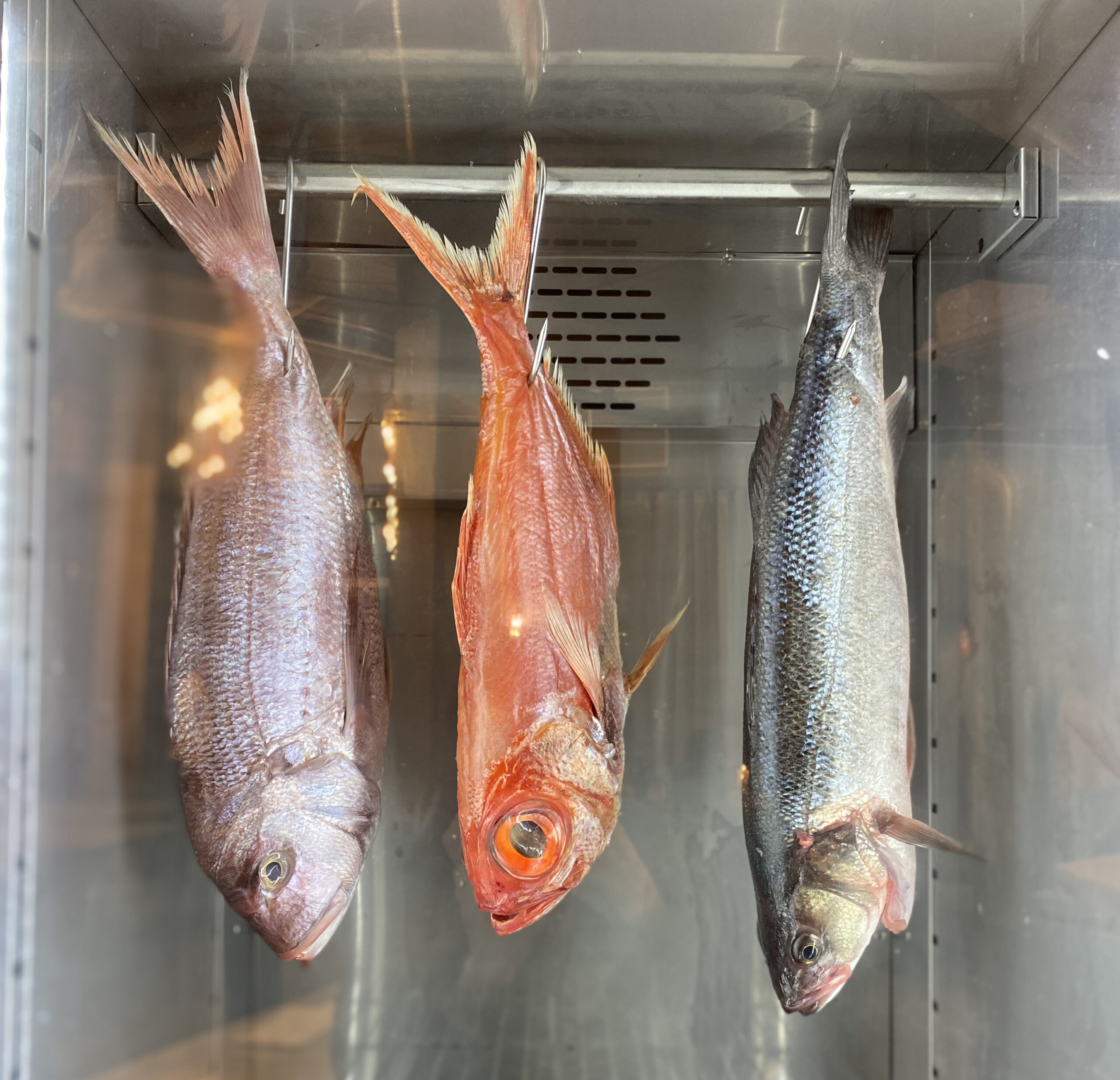 3 Benefits Of DryAged Fish Best of Mallorca