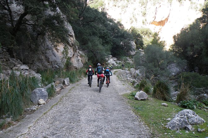 Five best things to experience MallorcaMountain Bike Tour