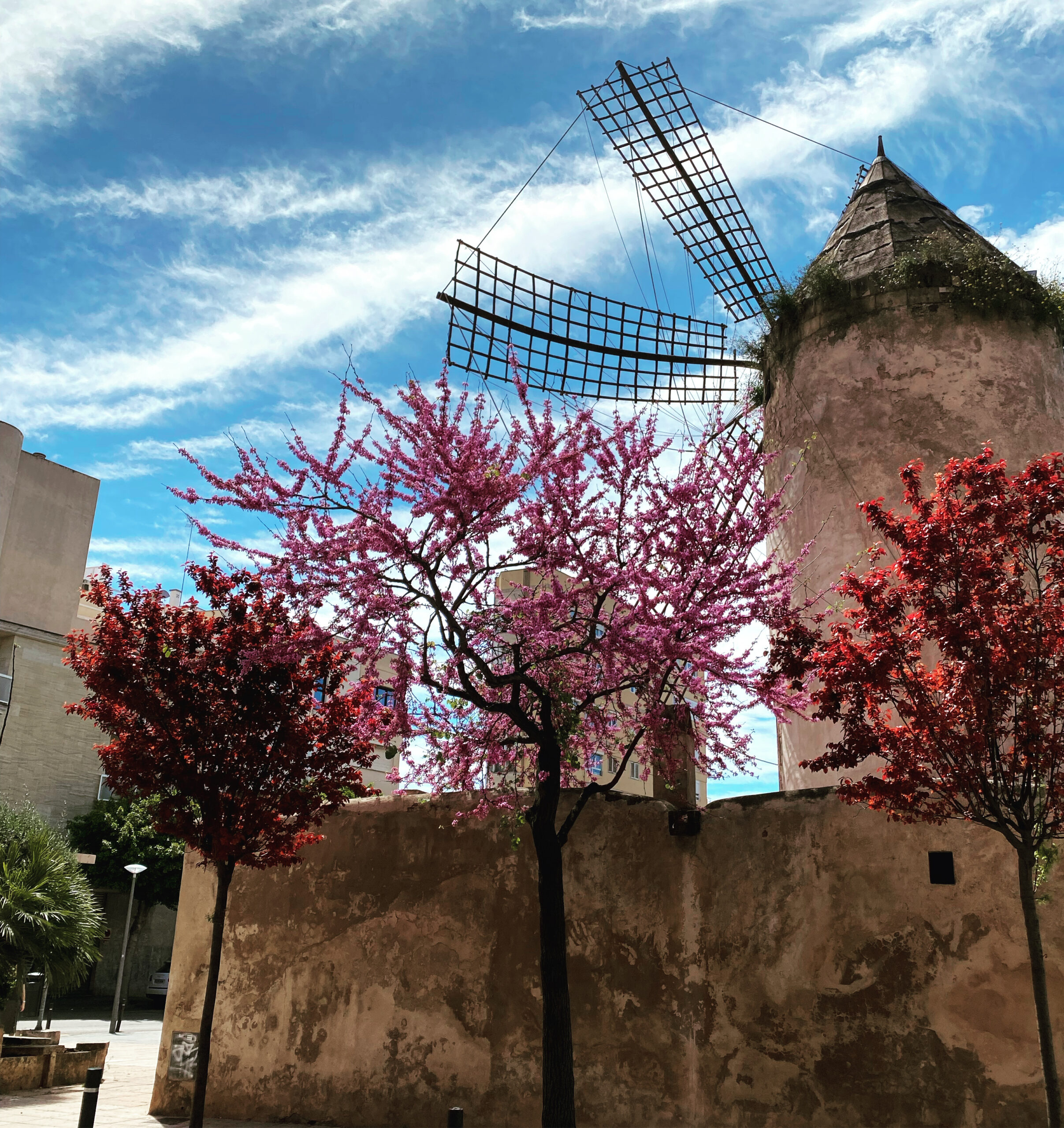 Windmills of Mallorca