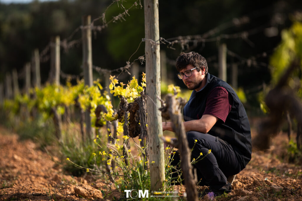 Micro-Wineries of the Raiguer
