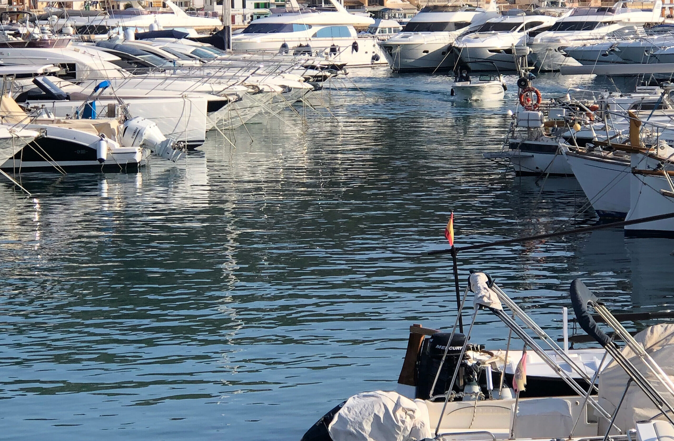 harbor port andratx scaled e1772217367719