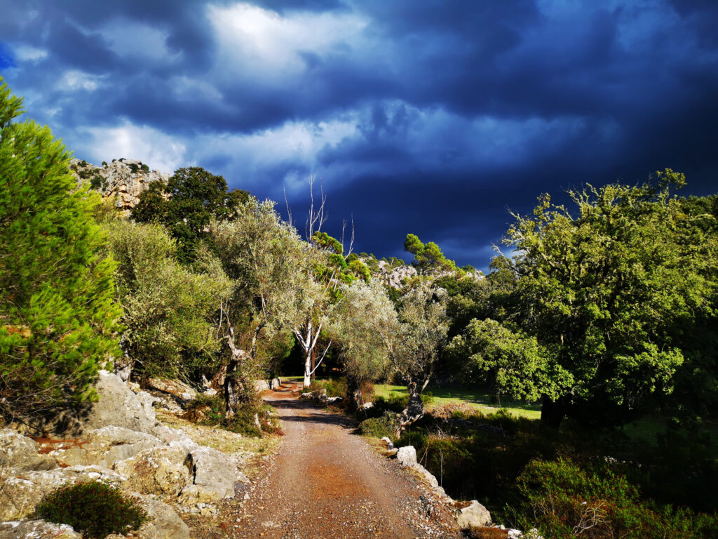 hiking Mallorca with Jorn 4