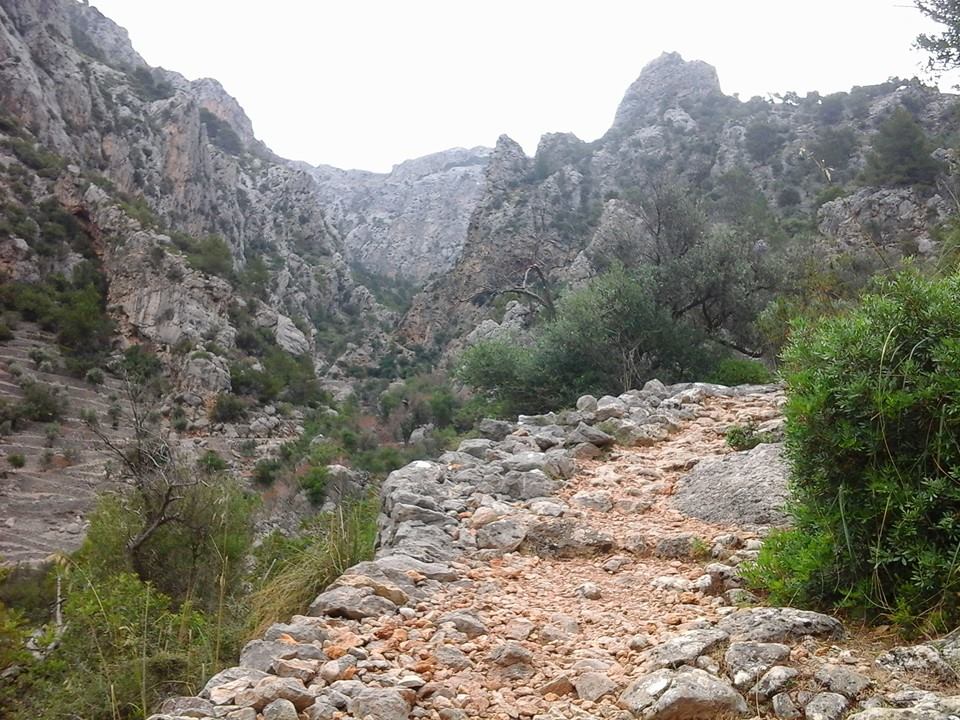 hike mallorca 3