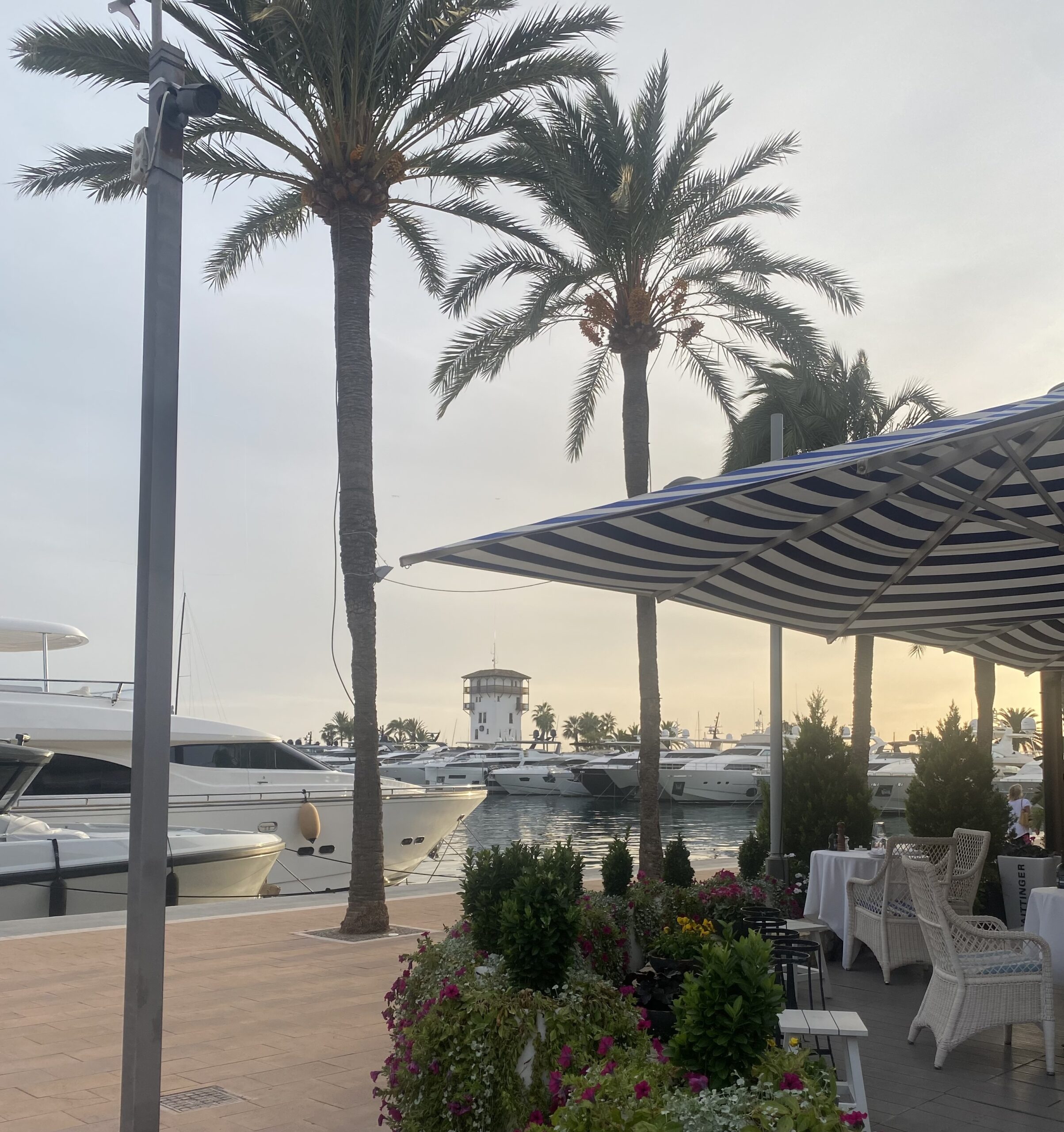 Portals Harbor 1 scaled