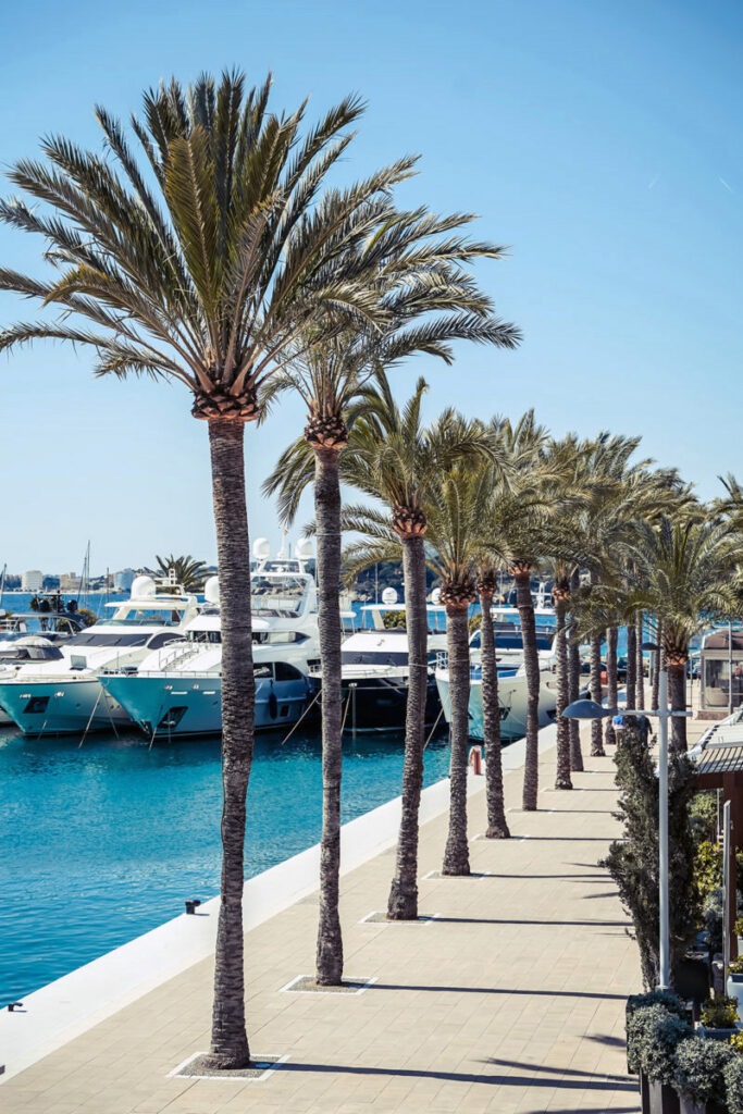 puerto portals marina