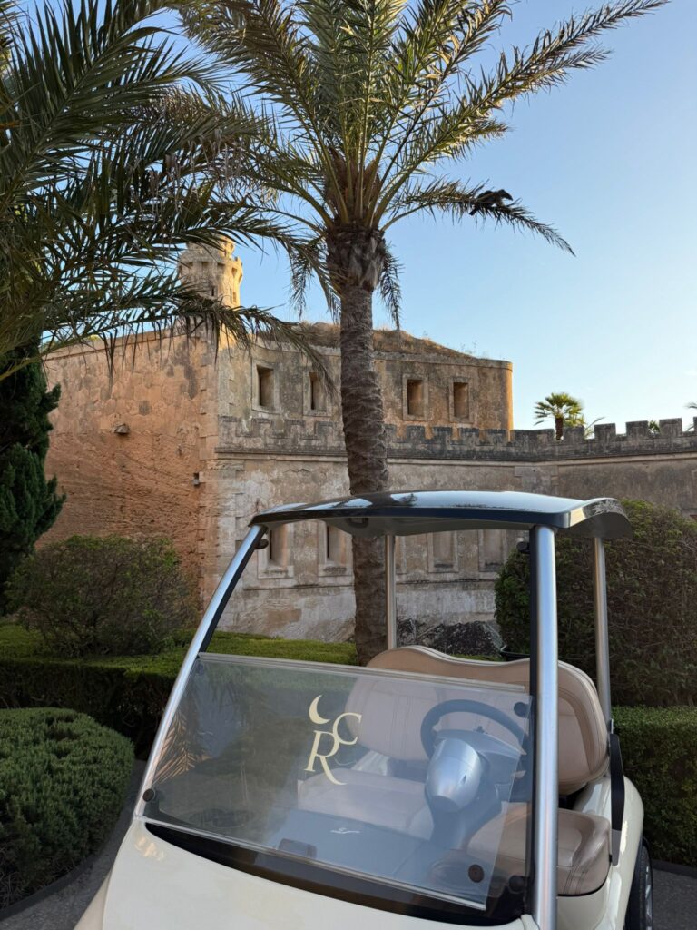cap rocat palm tree