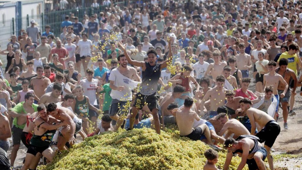Festa des Vermar