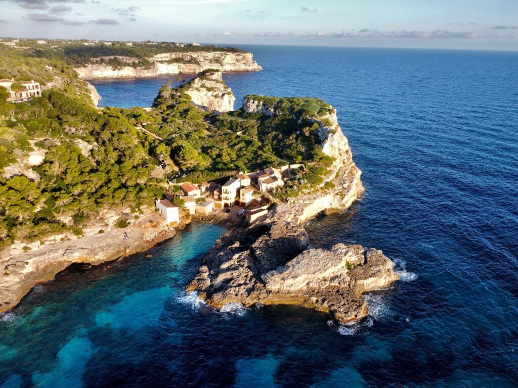 Cove SAlmunia
