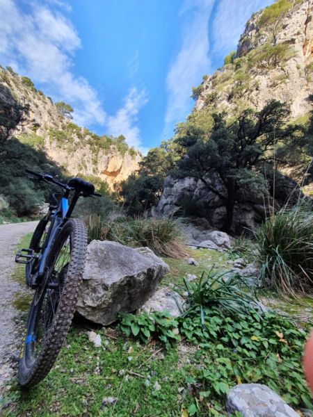 mountain bike tours best of mallorca 05060f2e