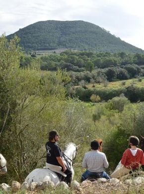 wp-content/uploads/2022/03/horseback-riding-mallorca.jpeg