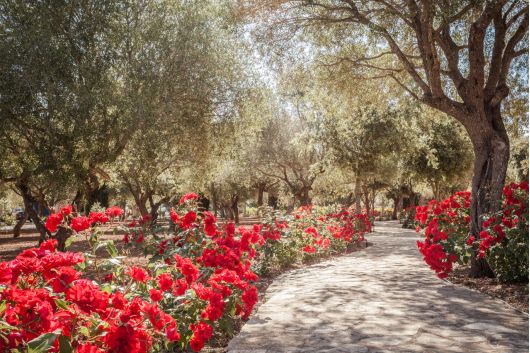 Traditional Manor House Mallorca