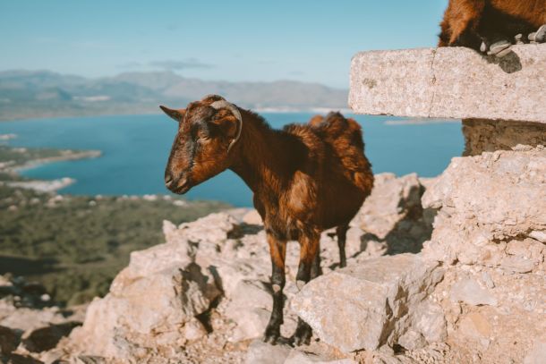 views and sights scaled 10840562