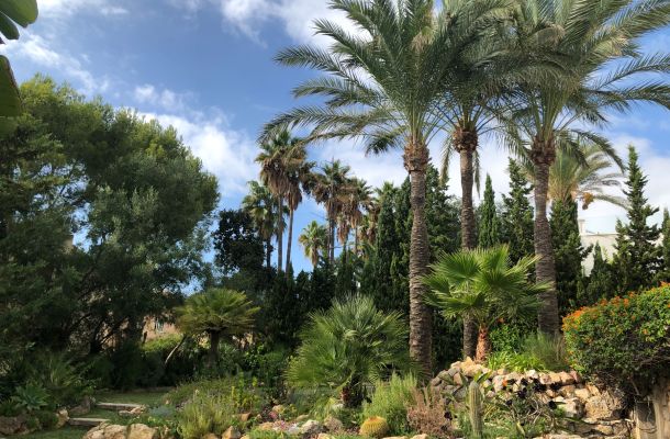 stunning villa with sea view and mediterranean garden mallorca 132e430f