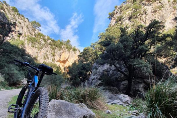 mountain bike escursion mallorca 19b424f3