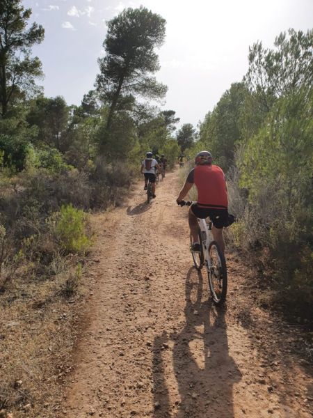 mountain bike mallorca tours 1a82815f