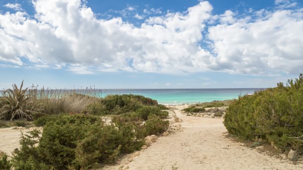 From Mallorca to Formentera, the Ultimate Balearic Escape