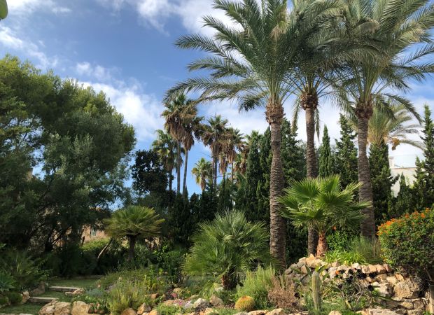 stunning villa with sea view and mediterranean garden mallorca 24b4e43d