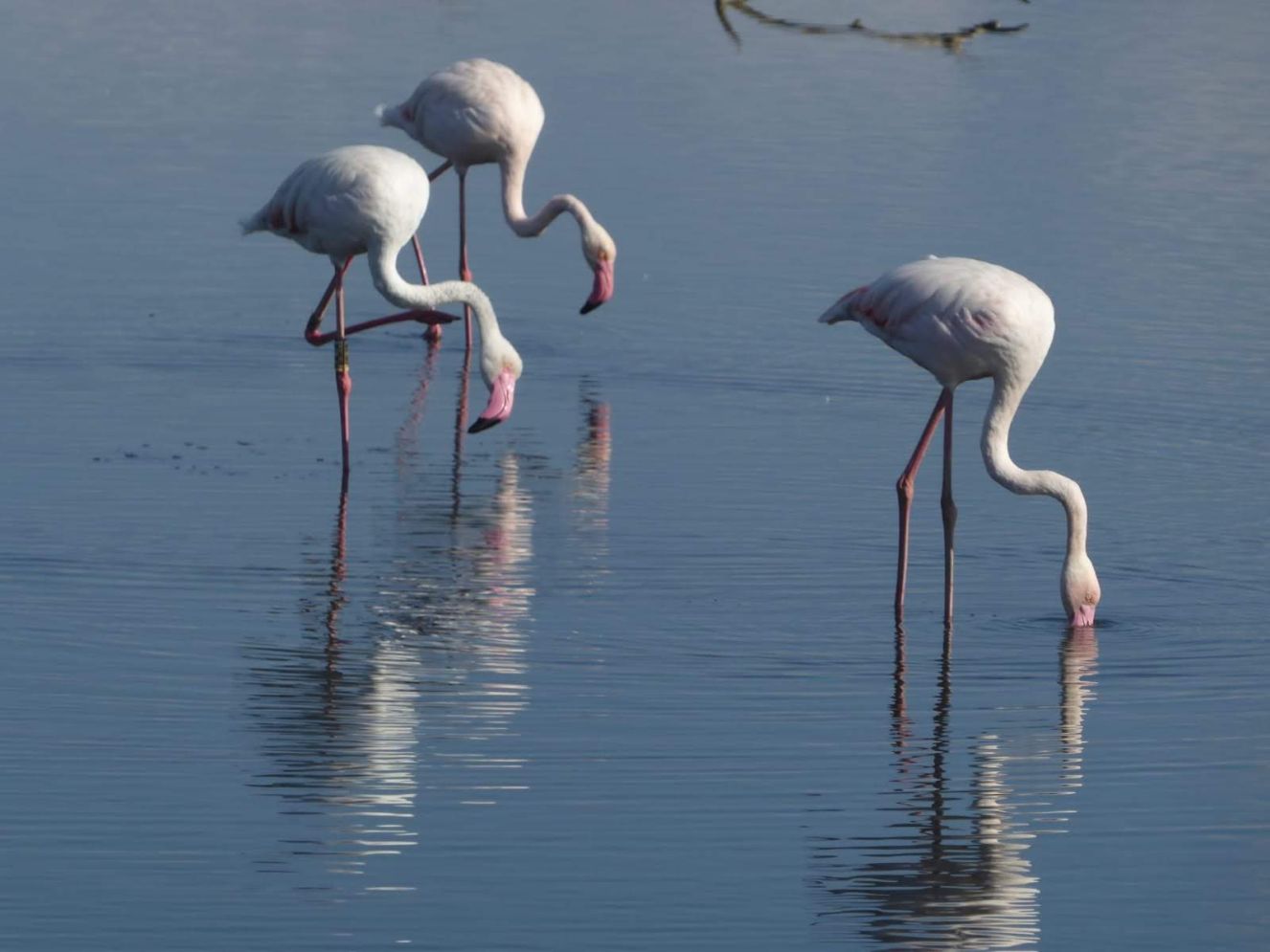 15 best things to do in Mallorca