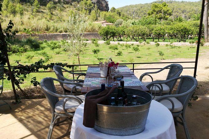 olive oil and wine tasting tour best of mallorca 48197283