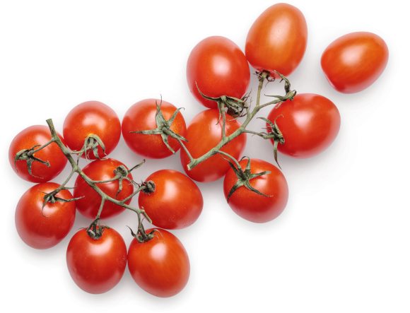 videos hero right 493c7387